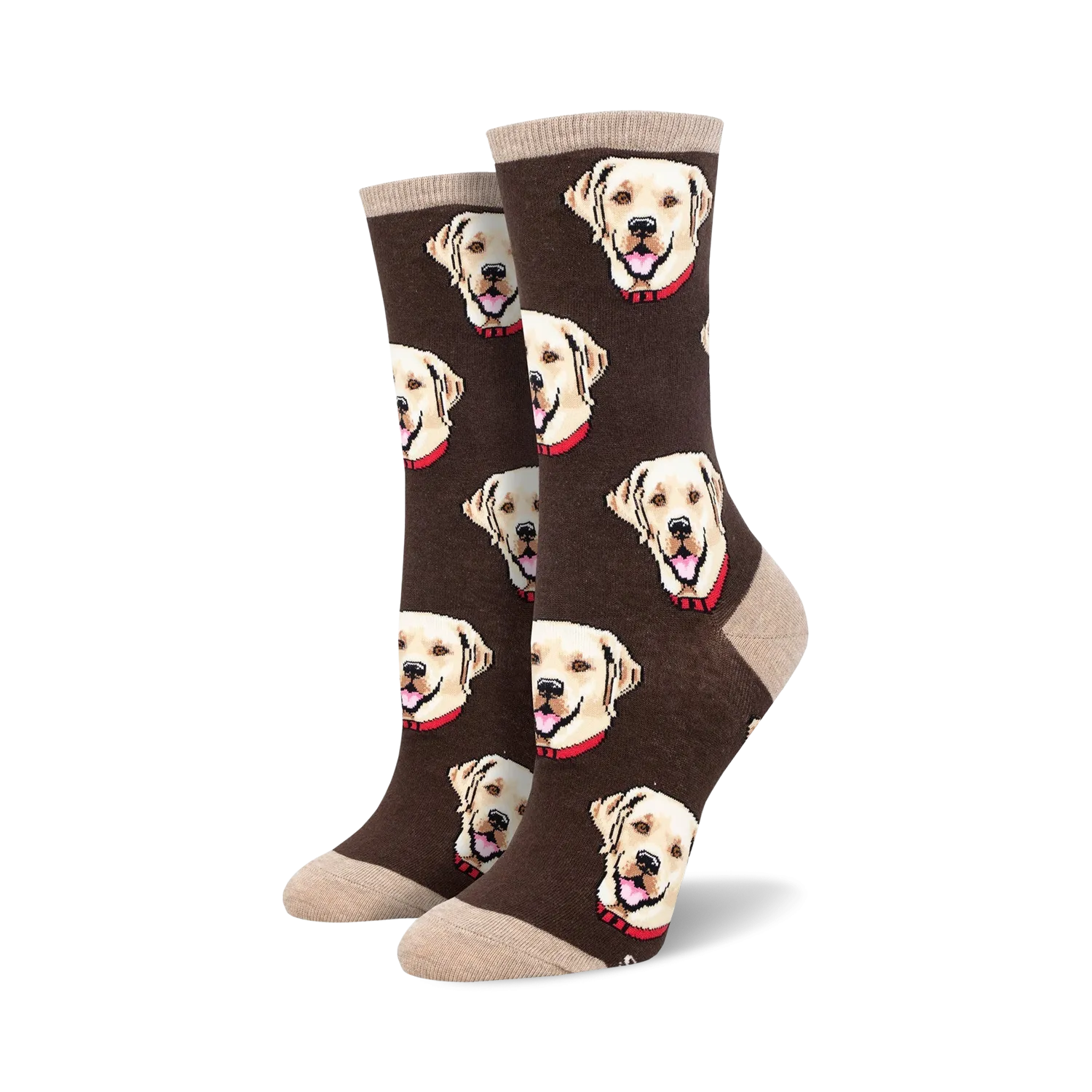 Labrador